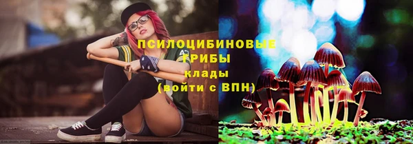 спиды Вяземский