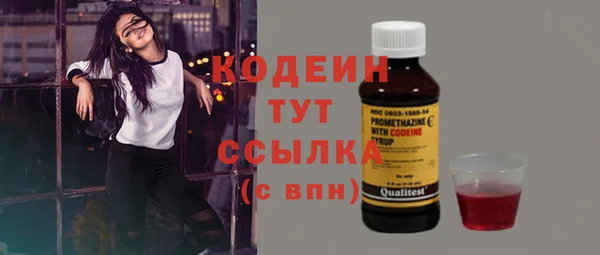 спиды Вяземский