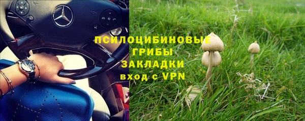 спиды Вяземский