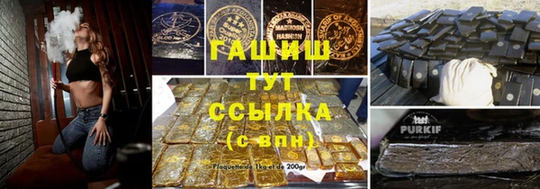 спиды Вяземский