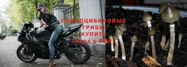 дурь Волосово