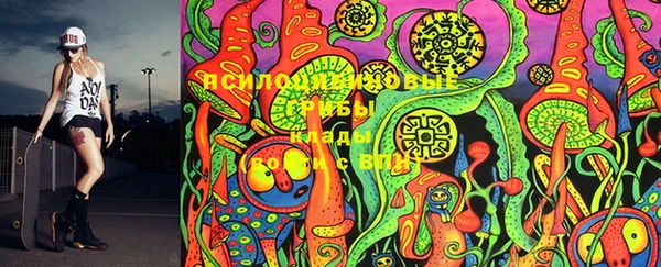 ешки Вязьма