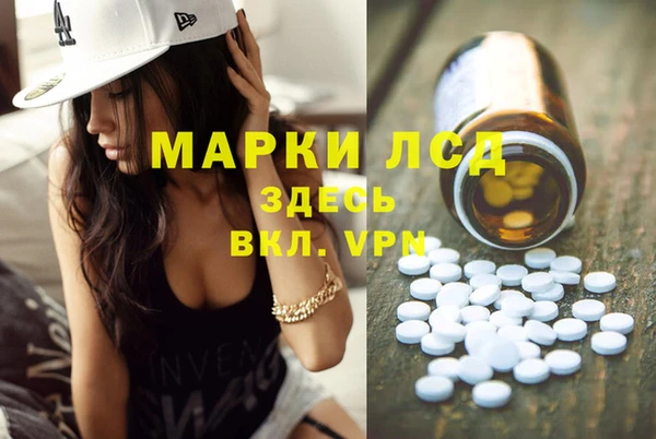 спиды Вяземский