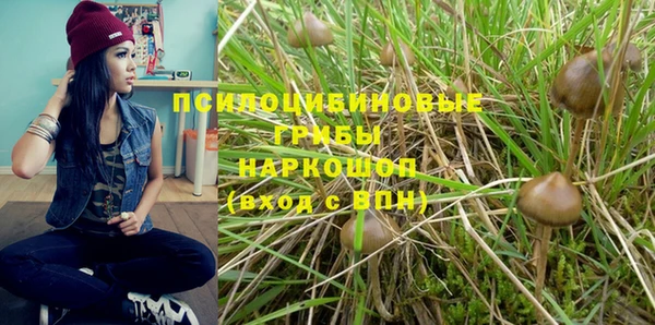 спиды Вяземский