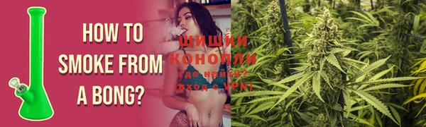 ешки Вязьма
